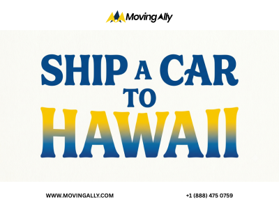 Man looking at a car being loaded onto a ship for transport to Hawaii